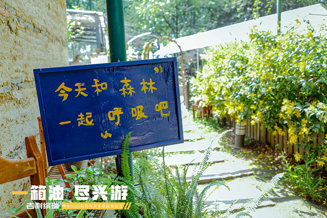 吉利缤瑞 |一箱油，尽兴游 带你high玩苏州自驾时光