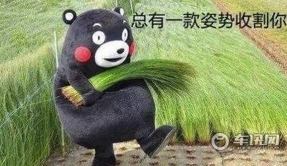 这些有用的配置，买车时最容易被忽视