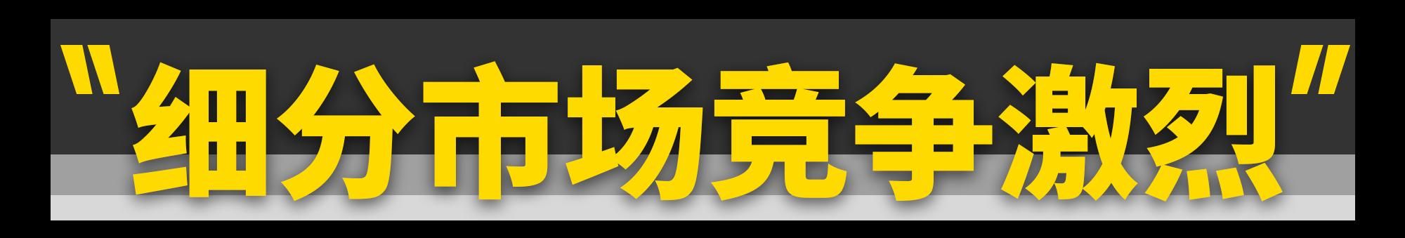 旅行车会在中国火起来吗？