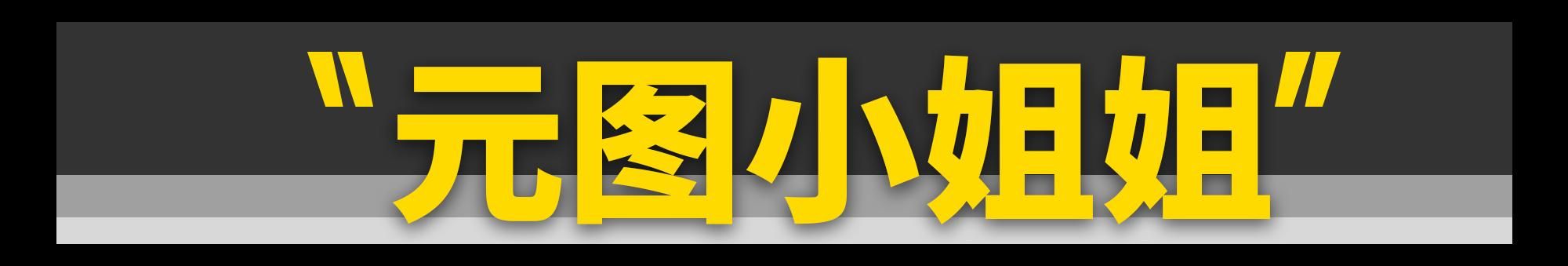 四缸新势力，元图多款新车亮相！