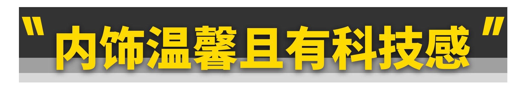 智己LS6：我只是想卷死各位！