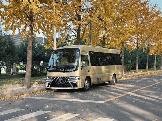 丰田考斯特车型报价参数12座现车图片
