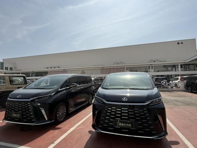 2025款雷克萨斯LM350h 2.5 四座 落地价多少钱 参数<font color='red'>图解</font>