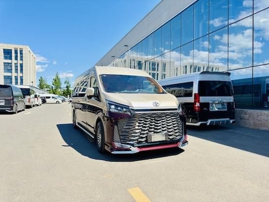 丰田海狮7座电动沙发床2026款私密头等舱现车百余台(42~85万)(图2)