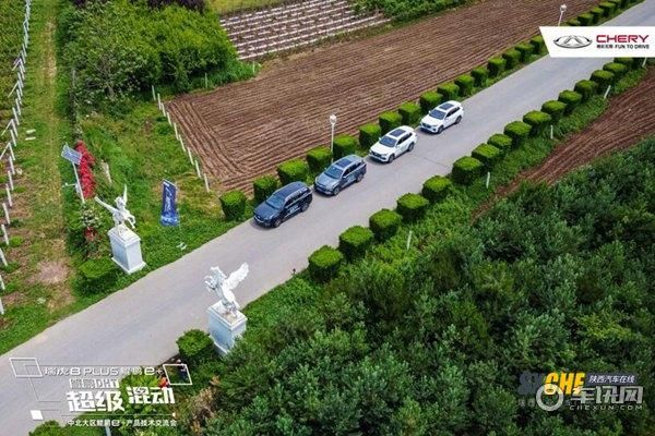 161638486afadcb0318249.jpg 4.jpg