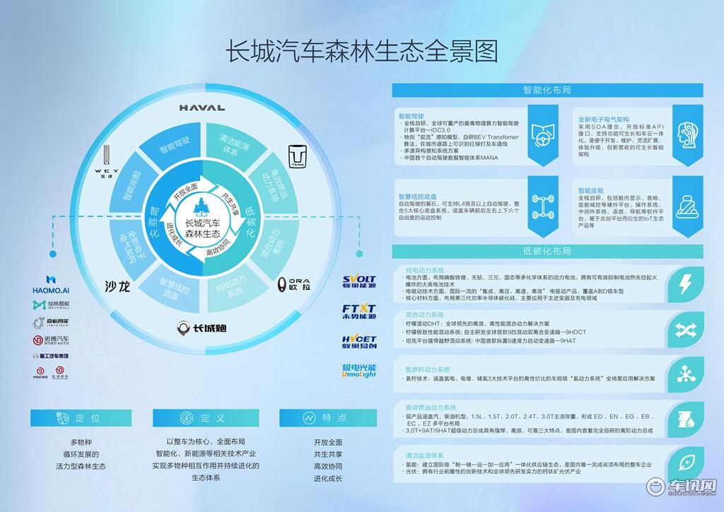 森林图片1_副本.jpg