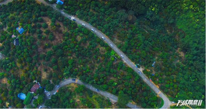 万试如意 超混电驱奇骏百城百公里试驾·佛山站