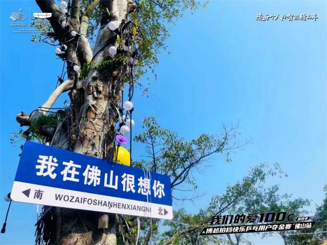 博越拍档快乐乒乓用户夺金赛 佛山站圆满落幕