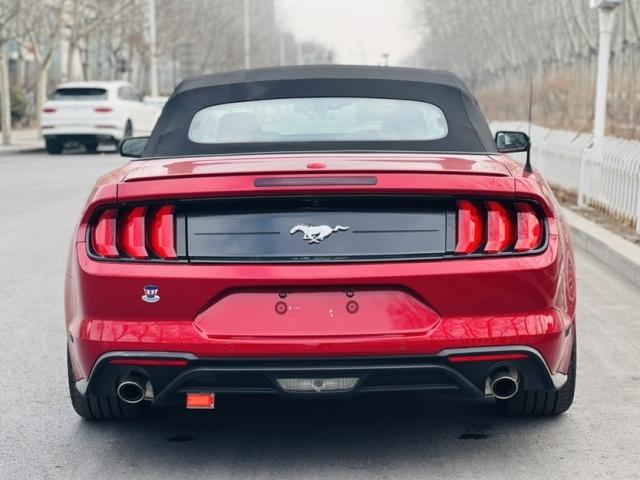 价格偏低的进口车 news_default_D32AB352CB37FD9D5E092539F6265D30.jpg