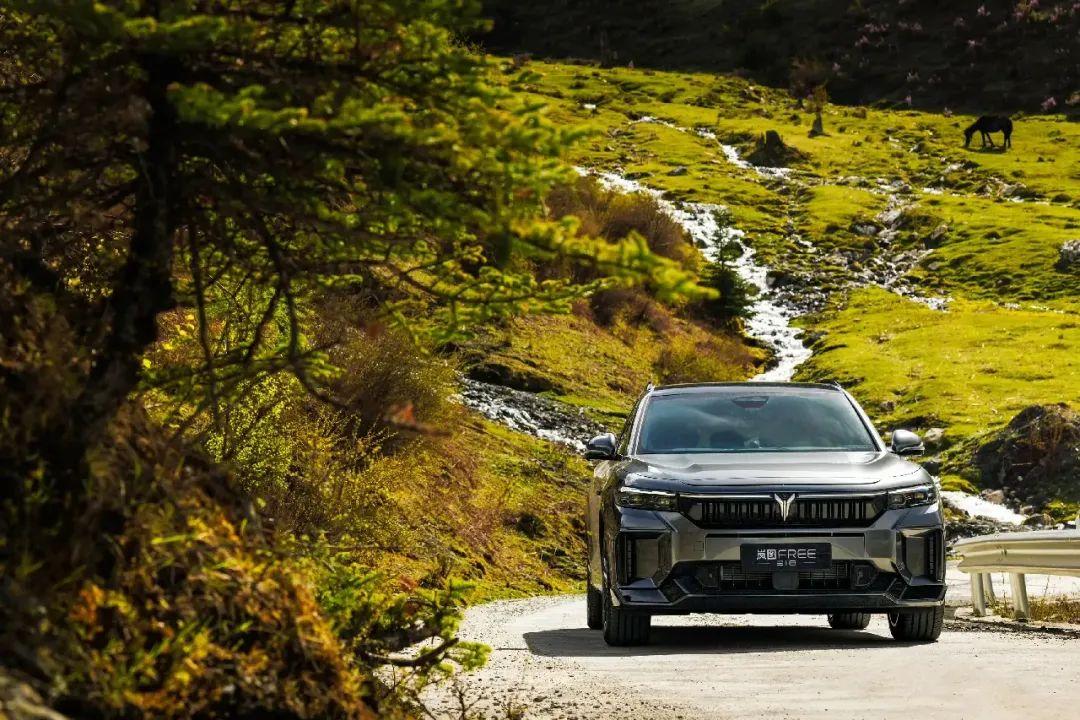 东风汽车孤注一掷:放弃溢价,全系"小米化"