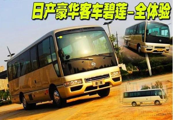 新款碧莲12座价格 日产(进口)碧莲报价